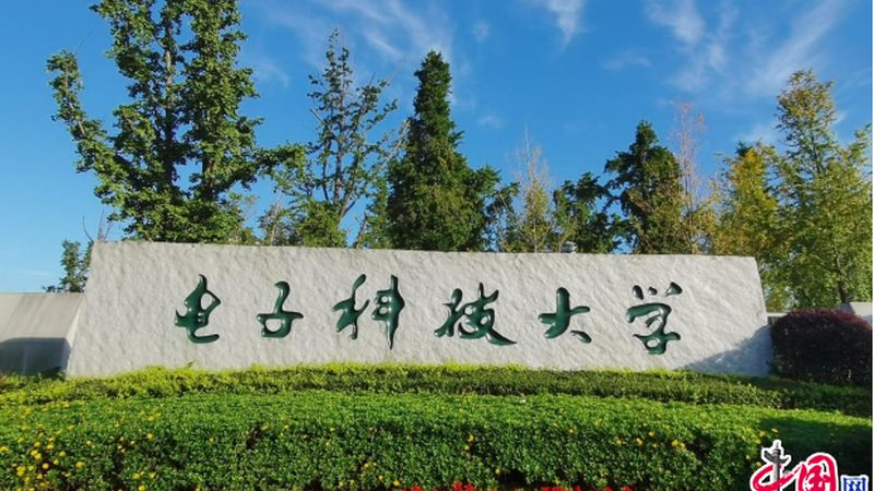 芯片材料选型：揭秘电子工程师的“秘籍”**