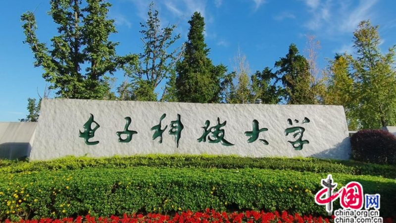 成都电子配件批发：优劣势解析与选购要点